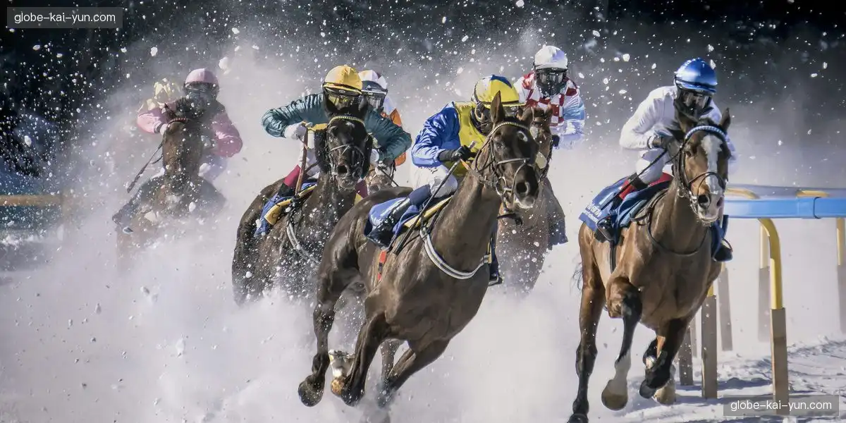 整合多方资源 合作共赢赛事生态